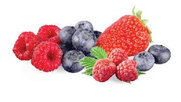 Berries Image