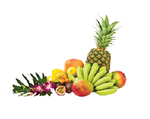 Tropical Fruits Image